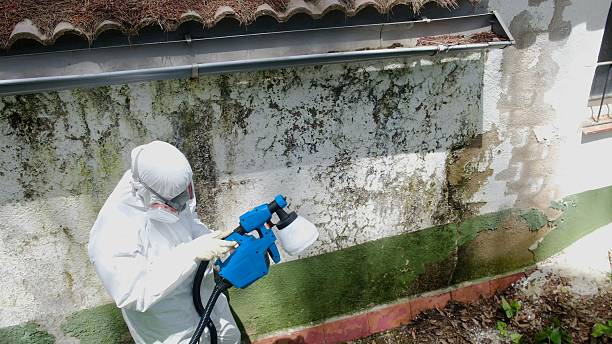 Trusted Commercial Mold Remediation service in Warren, NJ - Cheap Mold Removal